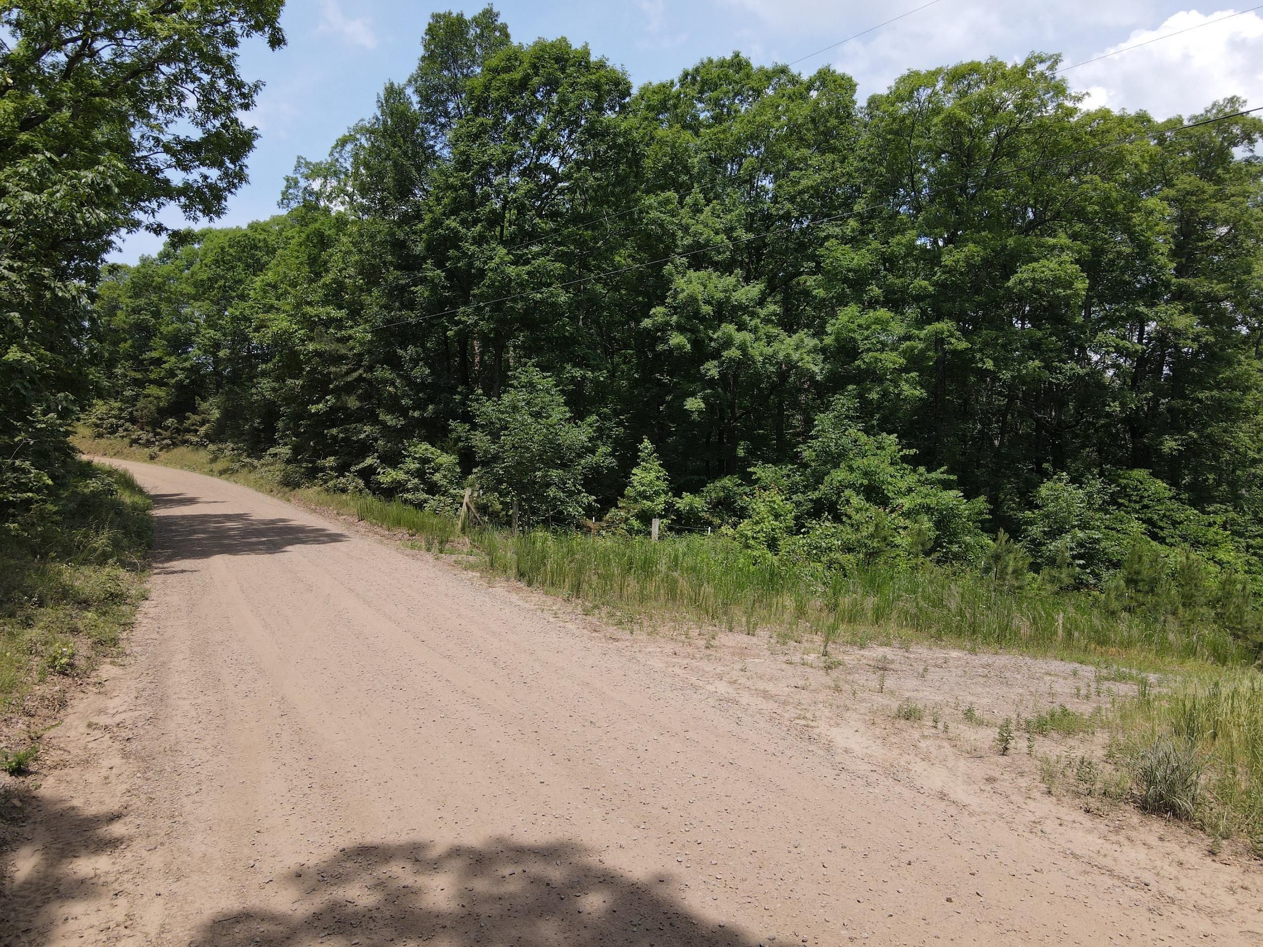 Hector, Pope County, AR Recreational Property, Timberland Property, Hunting Property for sale