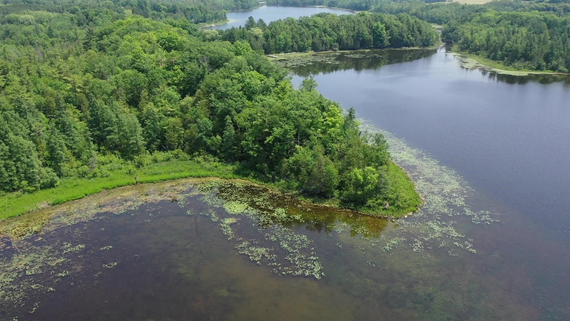 Cecil, Shawano County, WI Undeveloped Land, Lakefront Property