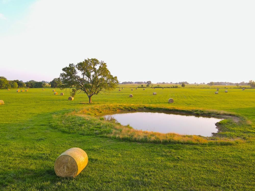 Gravette, Benton County, AR Farms and Ranches, Undeveloped Land for
