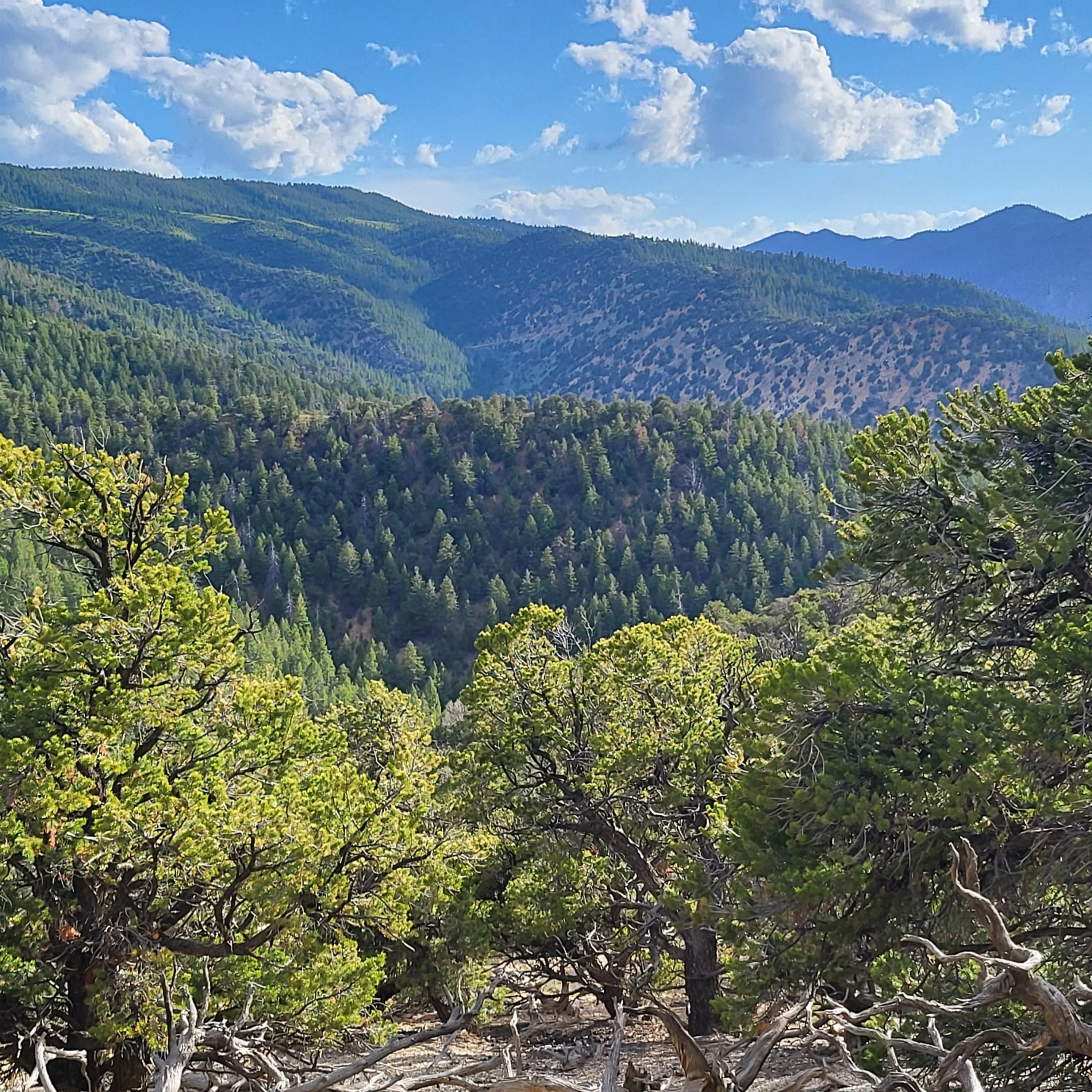 Duchesne, Duchesne County, UT Recreational Property, Hunting Property