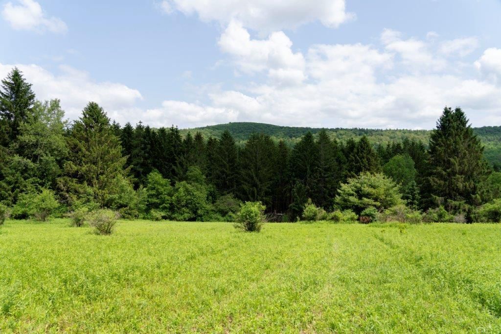 Otego, Otsego County, NY Recreational Property, Homesites for sale