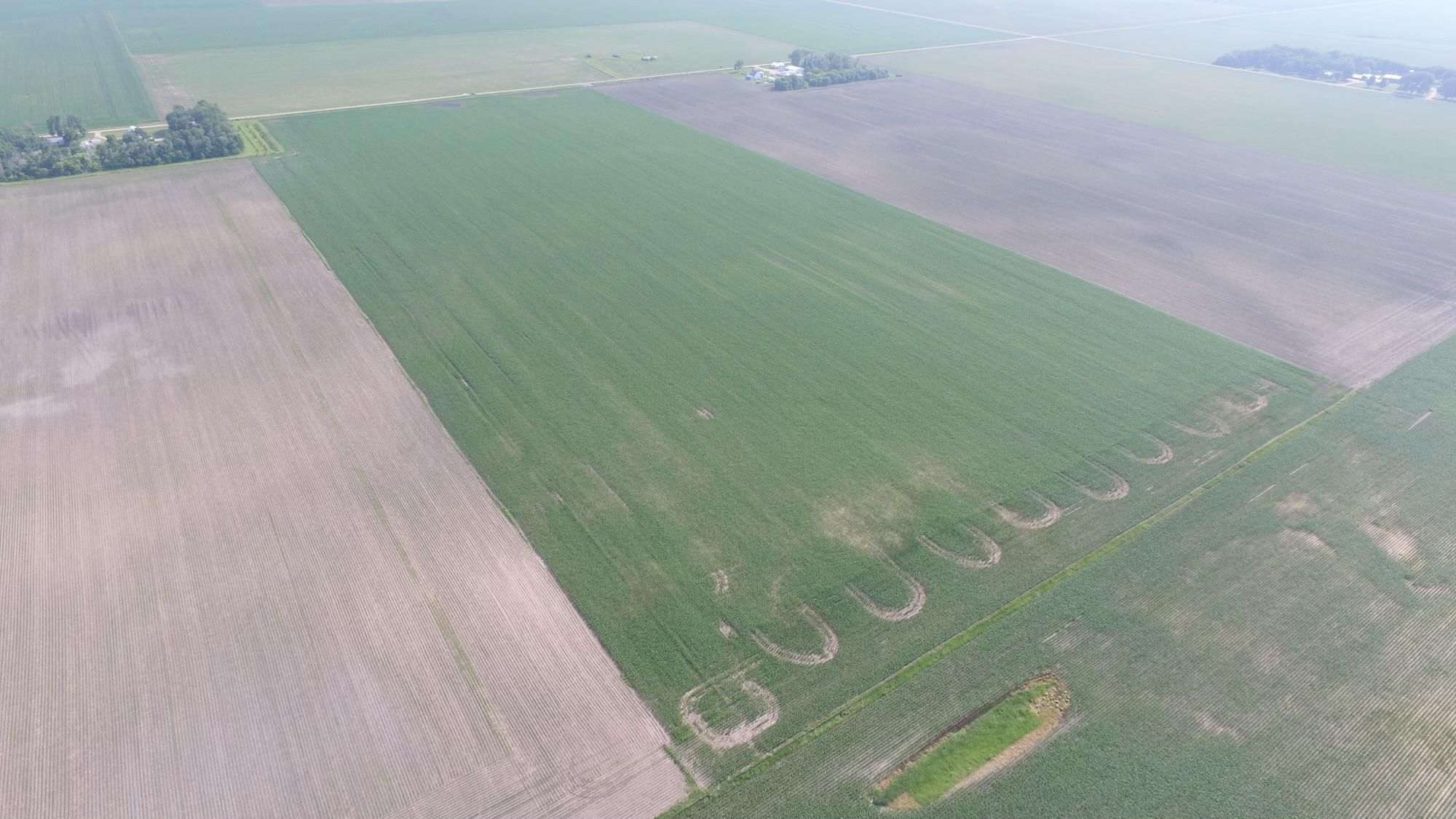 Brewster, Jackson County, MN Farms and Ranches for sale Property ID