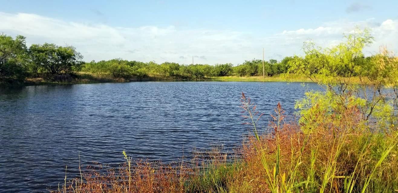 Coleman, Coleman County, TX Farms and Ranches, Recreational Property