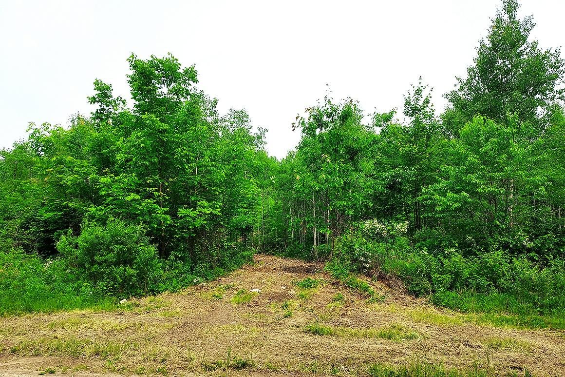 Crandon, Forest County, WI Recreational Property, Homesites for sale