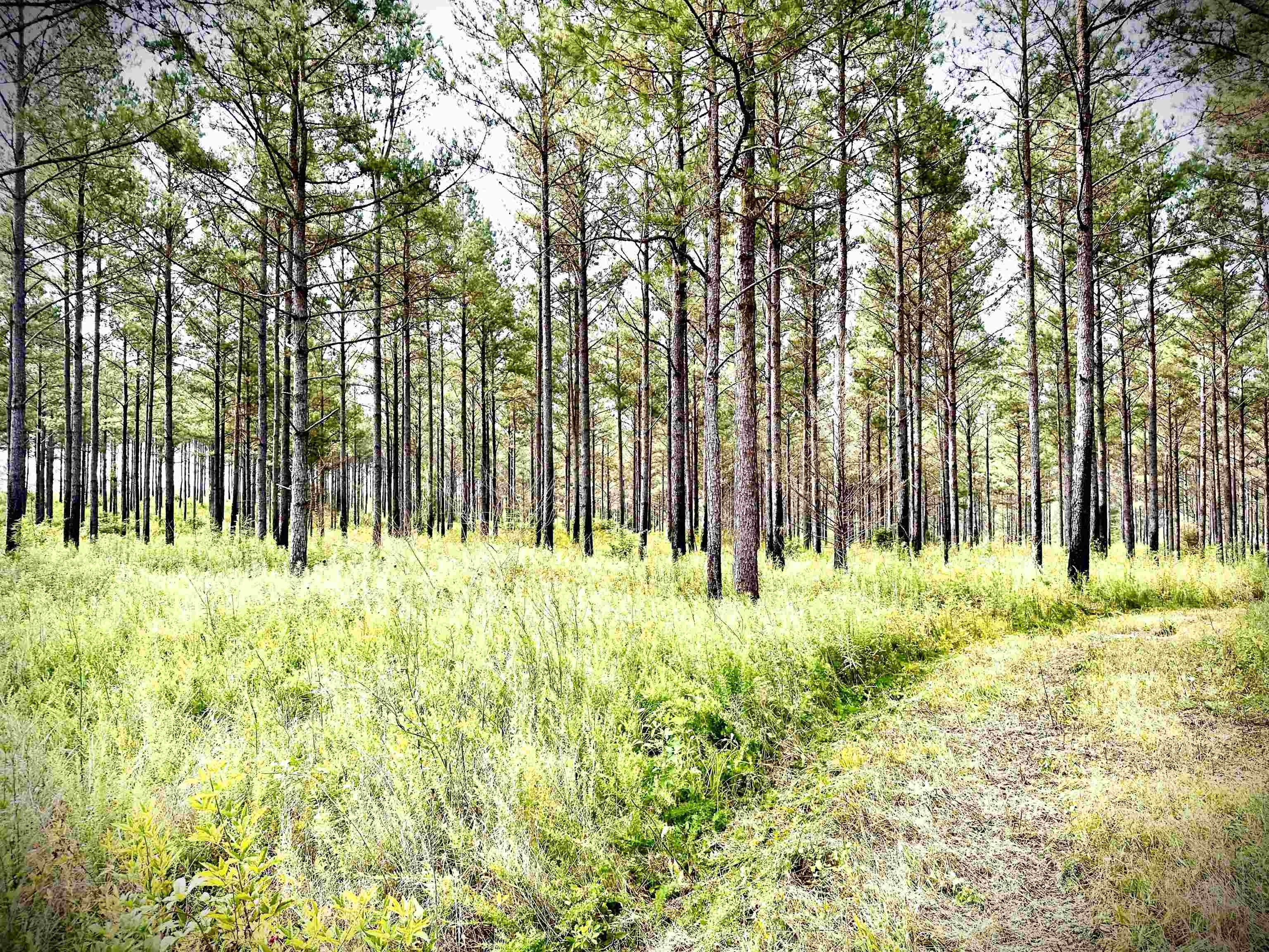 Carbon Hill, Walker County, AL Farms and Ranches for sale Property ID