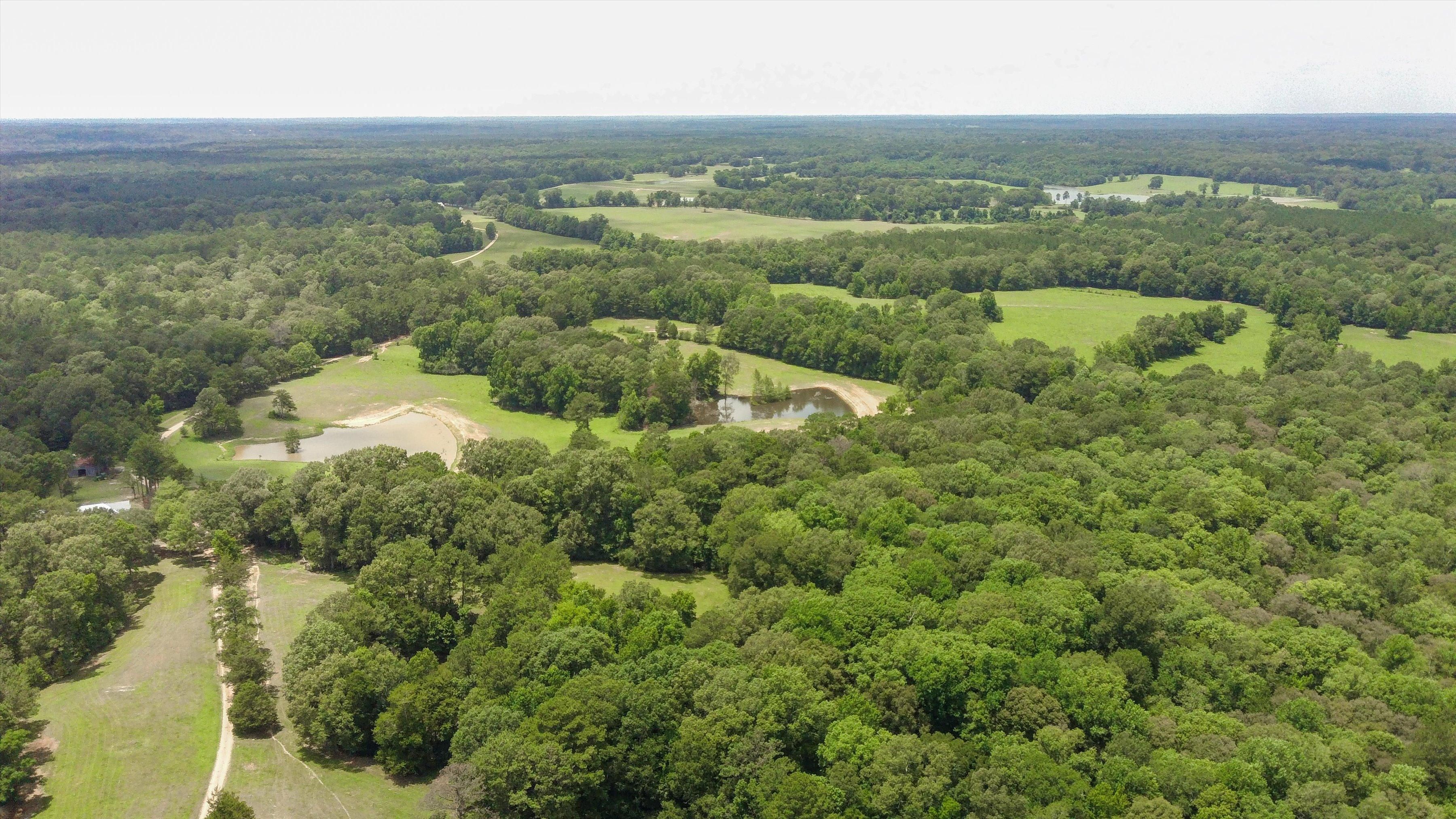 13828 Woodland Rd, Saint Francisville, LA 70775 MLS 2023009732