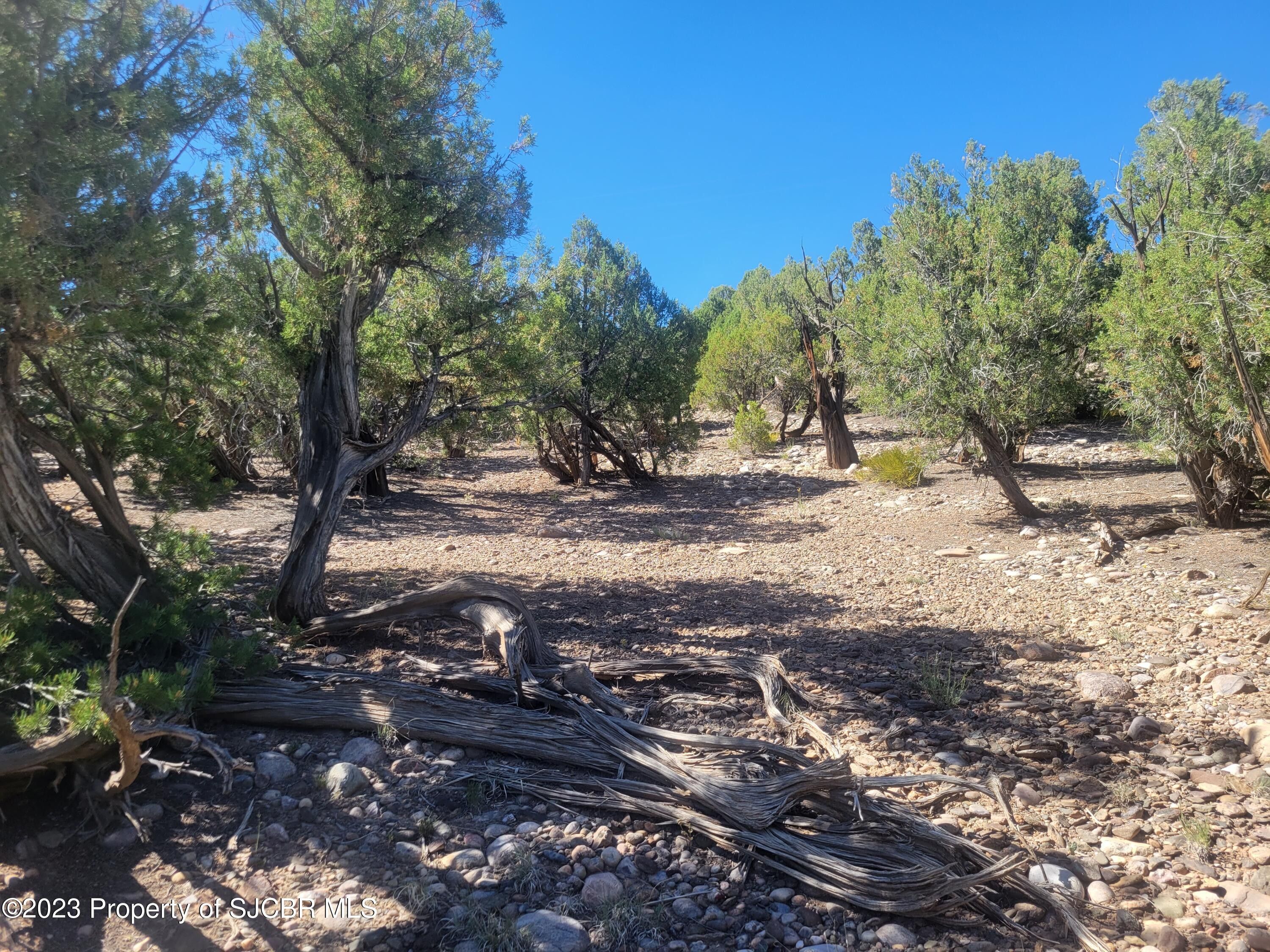 Navajo Dam, San Juan County, NM Farms and Ranches, Homesites for sale