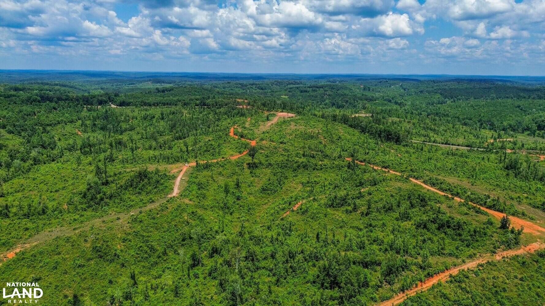 Valley Grande, Dallas County, AL Recreational Property, Timberland Property, Hunting Property
