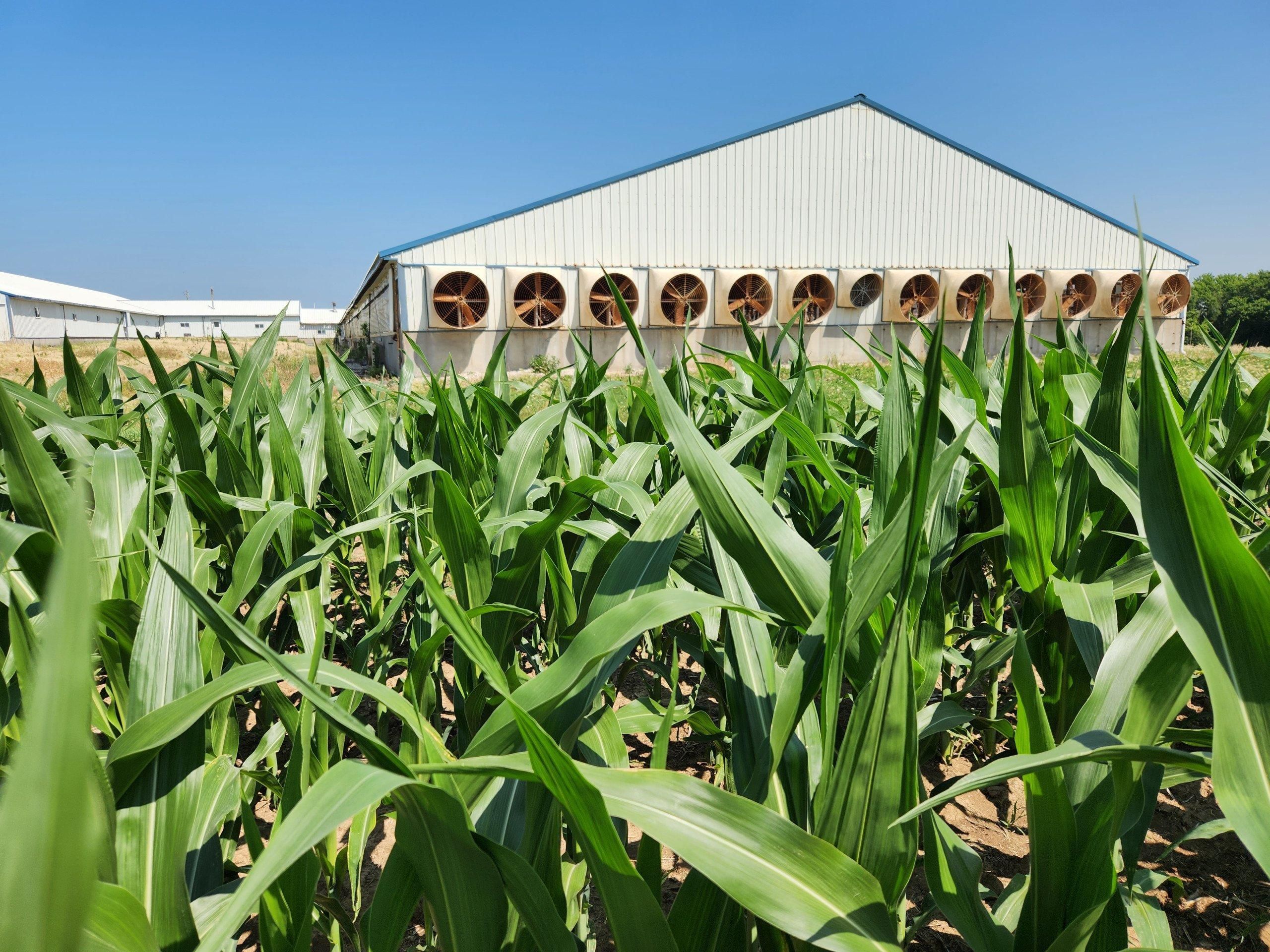 New Sharon, Mahaska County, IA Farms and Ranches for sale Property ID