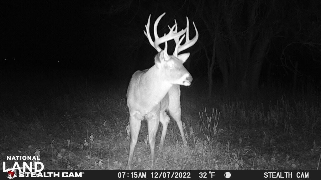 Attica, Harper County, KS Farms and Ranches, Recreational Property