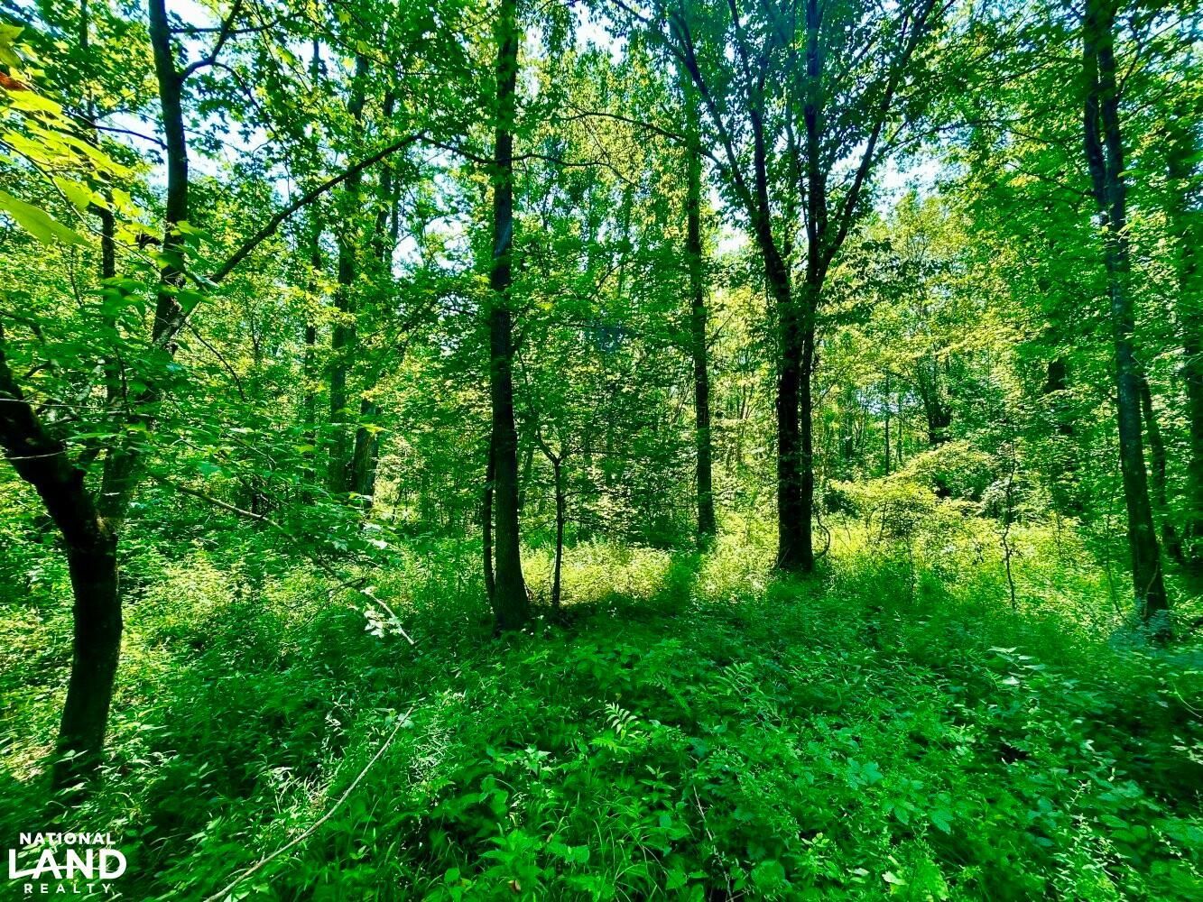 Newton, Newton County, MS Recreational Property, Undeveloped Land for