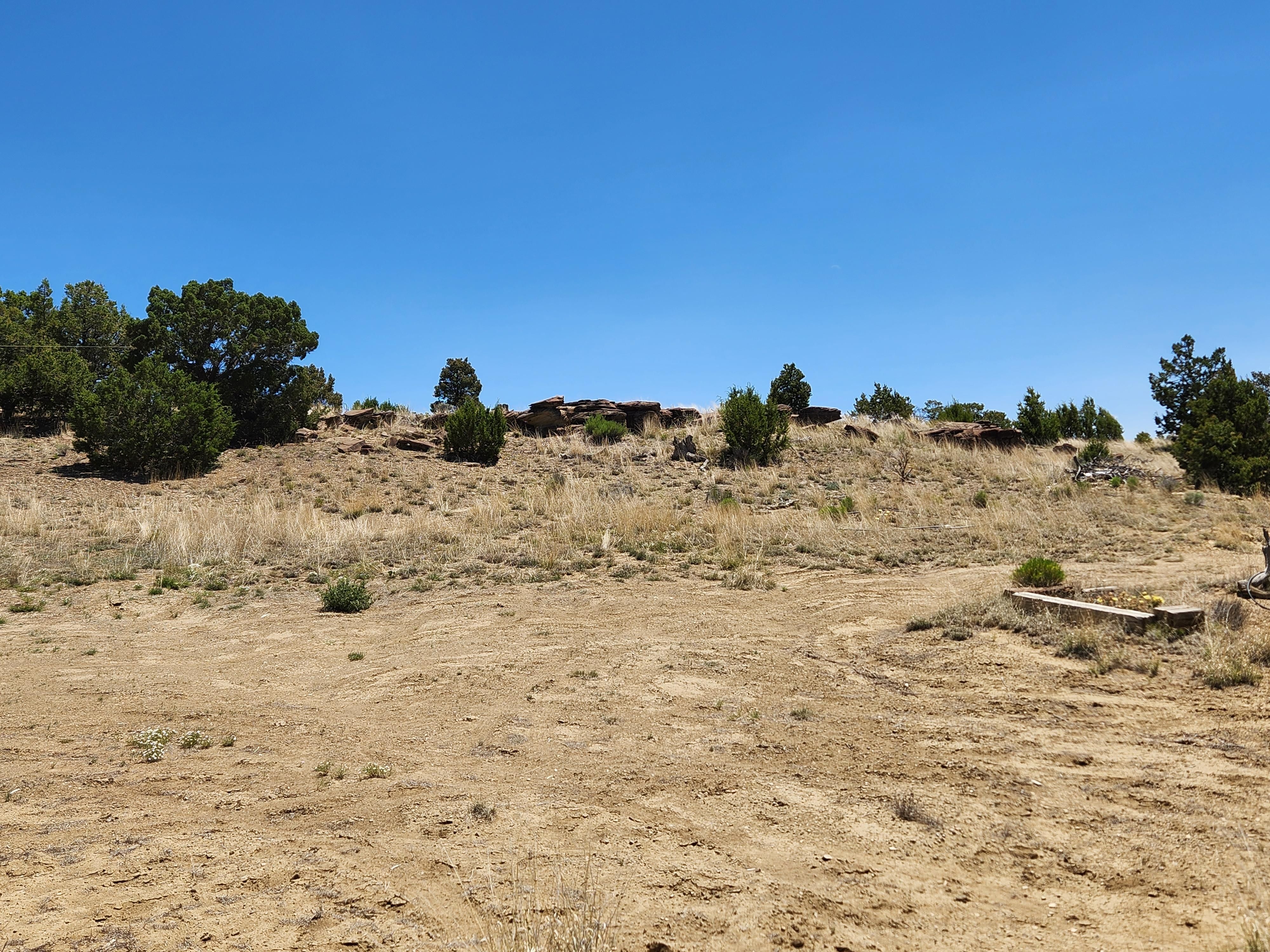 Pie Town, Catron County, NM Farms and Ranches, Recreational Property