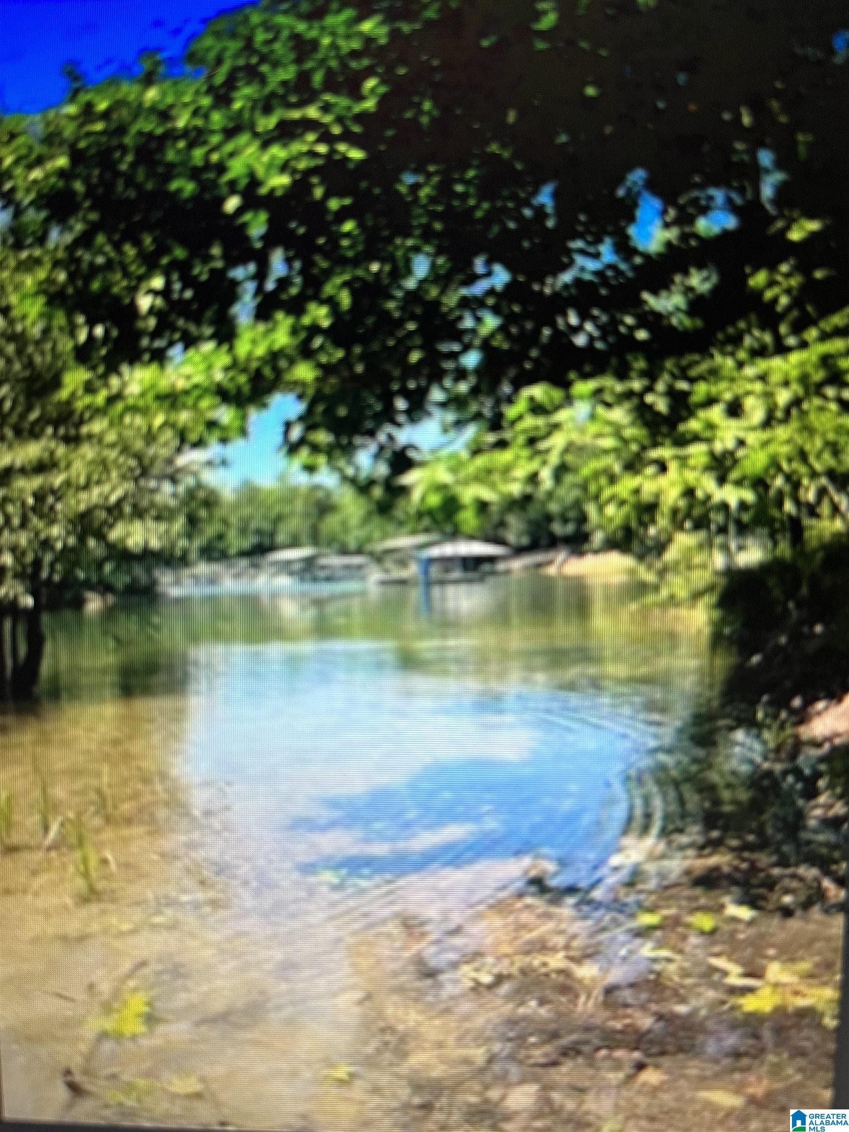 Arley, Winston County, AL Farms and Ranches, Lakefront Property