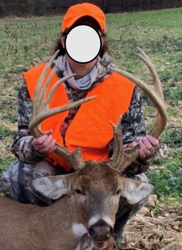 Bardwell, Carlisle County, KY Recreational Property, Timberland