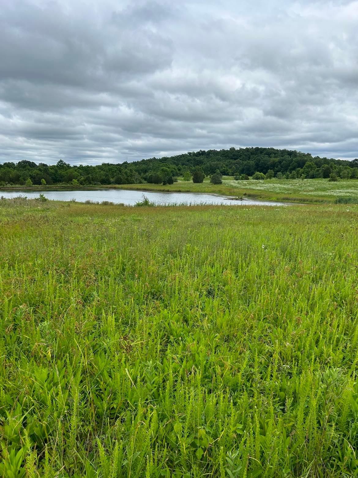 James Road, Flemingsburg, KY 41041 MLS James2 LandWatch