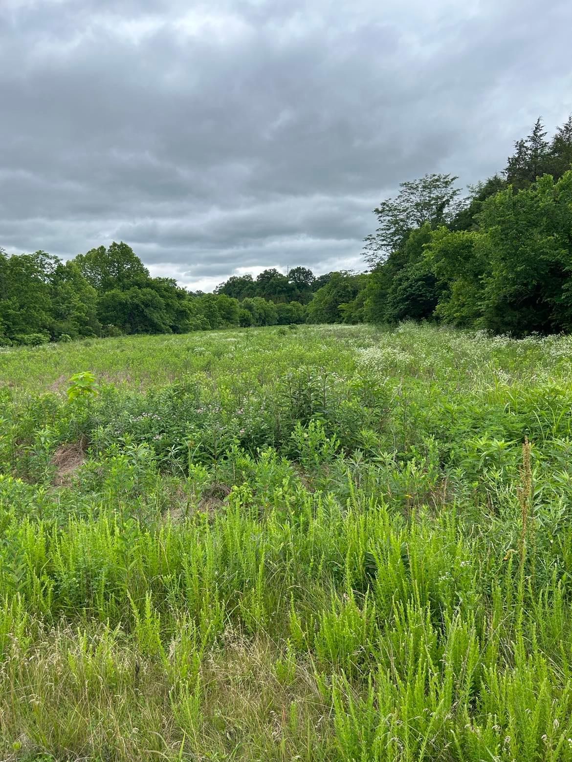 Flemingsburg, Fleming County, KY Farms and Ranches, Hunting Property