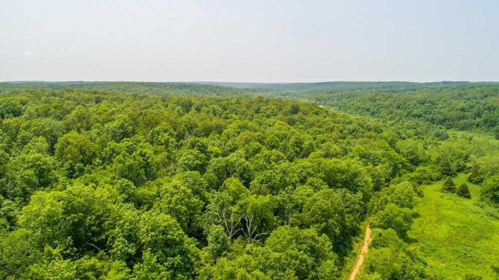 Belgrade, Washington County, MO Recreational Property, Undeveloped Land