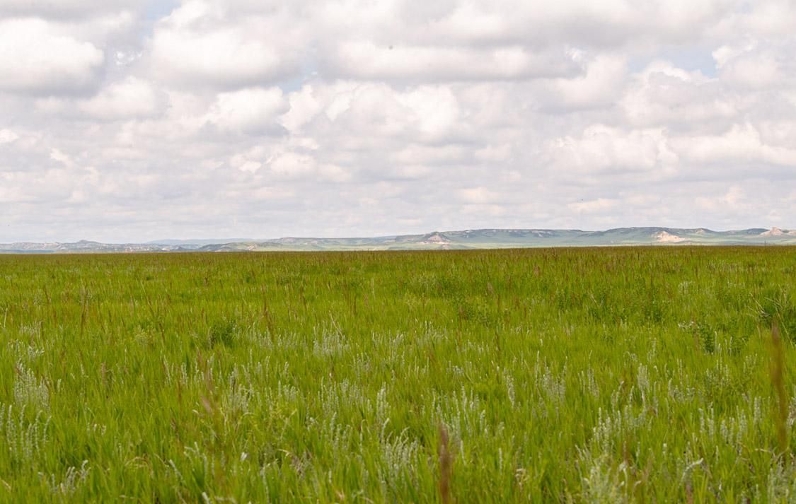 Chugwater, Platte County, WY Farms and Ranches, House for sale Property