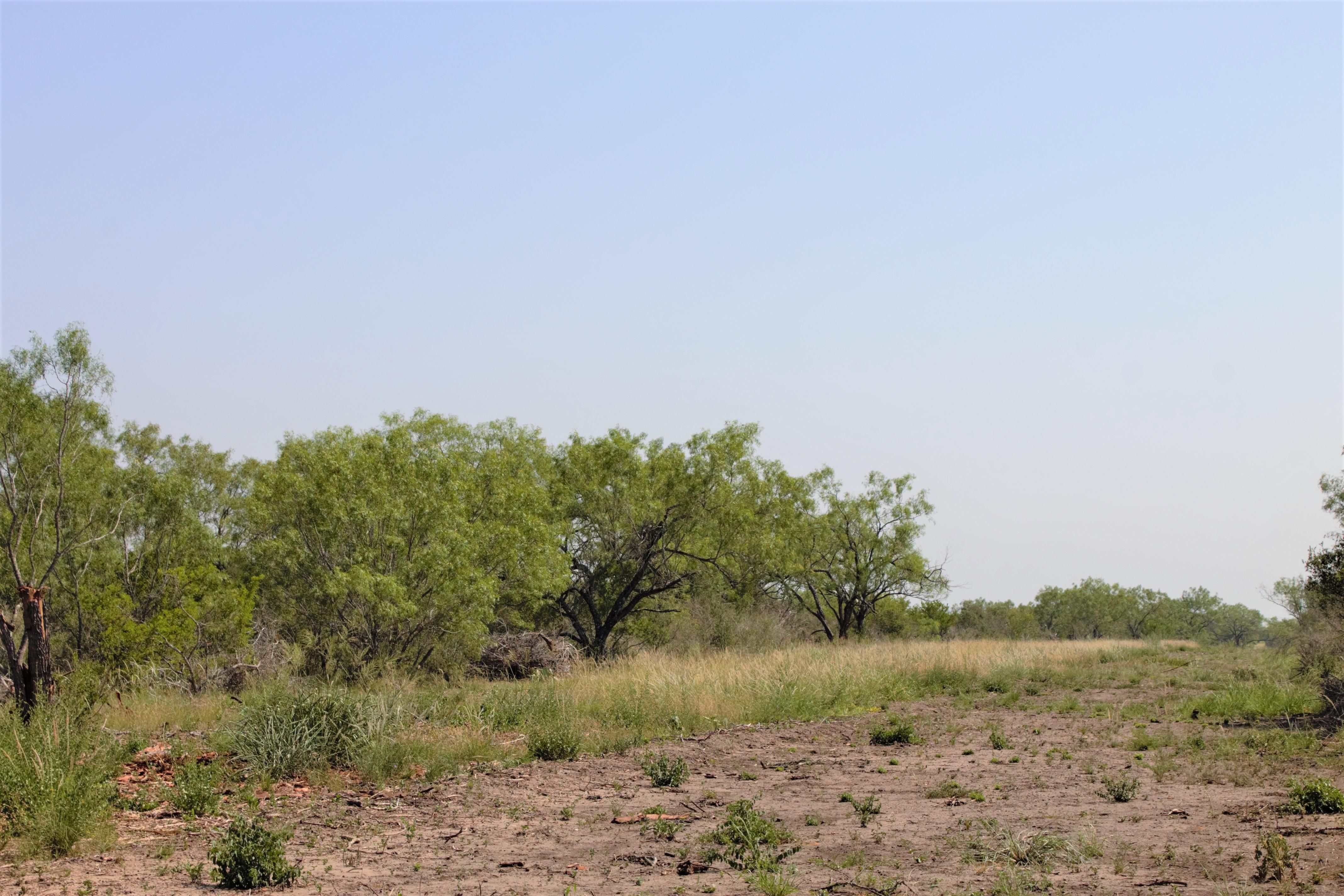 2424 County Road 310, Jourdanton, TX 78026 MLS 1698890 LandWatch