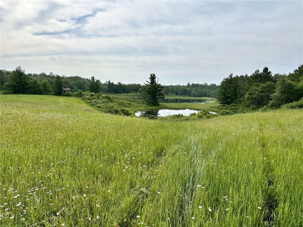 Akeley, Hubbard County, MN Farms and Ranches for sale Property ID