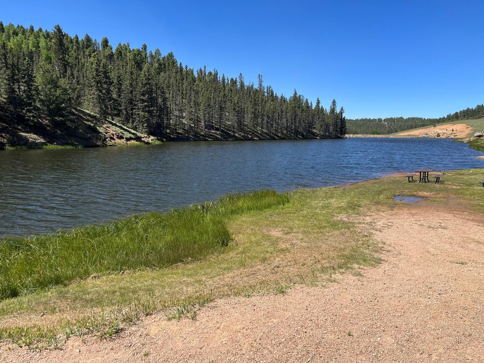 330 Waldon Lake Circle, Divide, CO 80814 MLS 0504468290 LandWatch