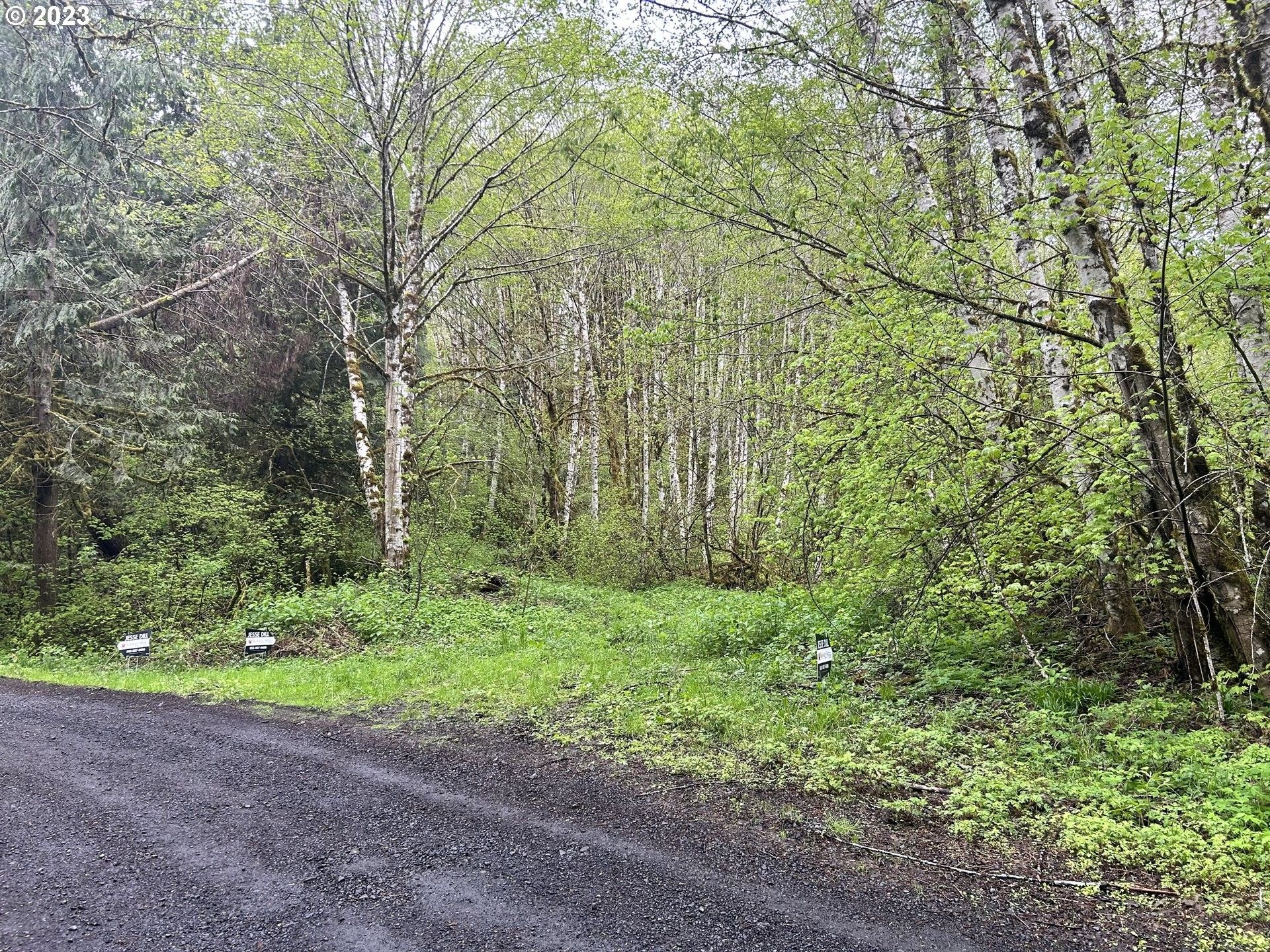 Scappoose, Columbia County, OR Farms and Ranches, Lakefront Property