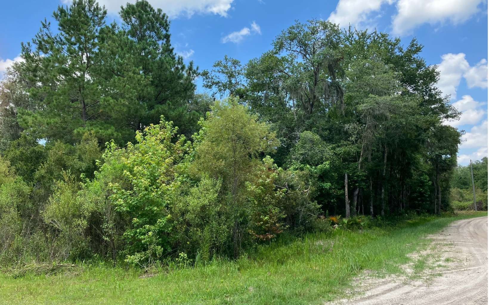 LOT 4 SE 140TH CT & 87TH TERR, White Springs, FL 32096 MLS 120195