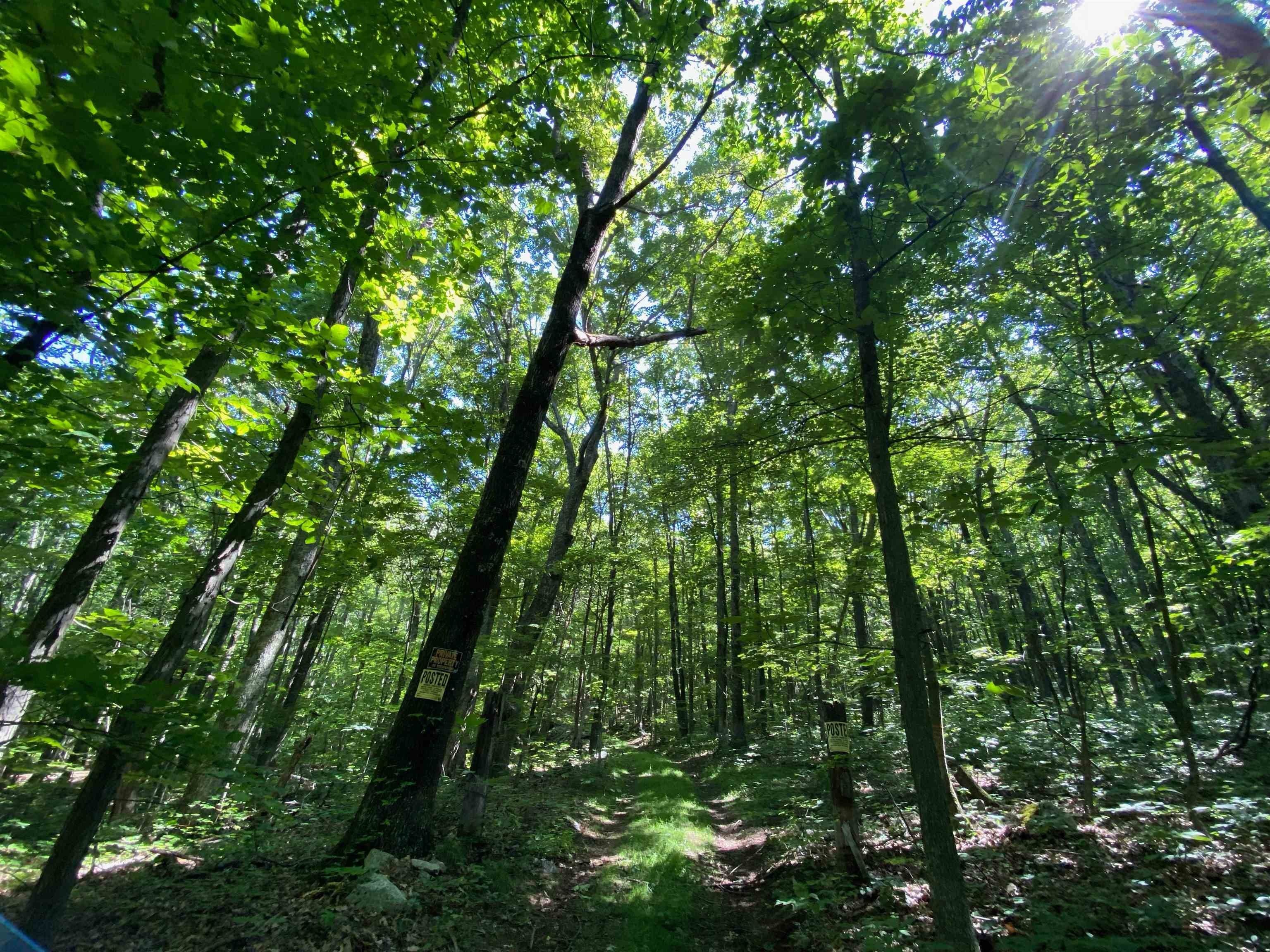 Hot Springs, Bath County, VA Undeveloped Land for sale Property ID 416771238 LandWatch