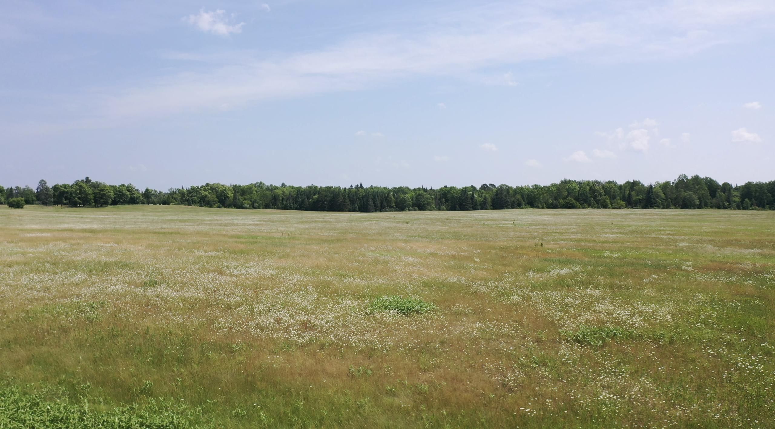 Remer, Cass County, MN Recreational Property for sale Property ID