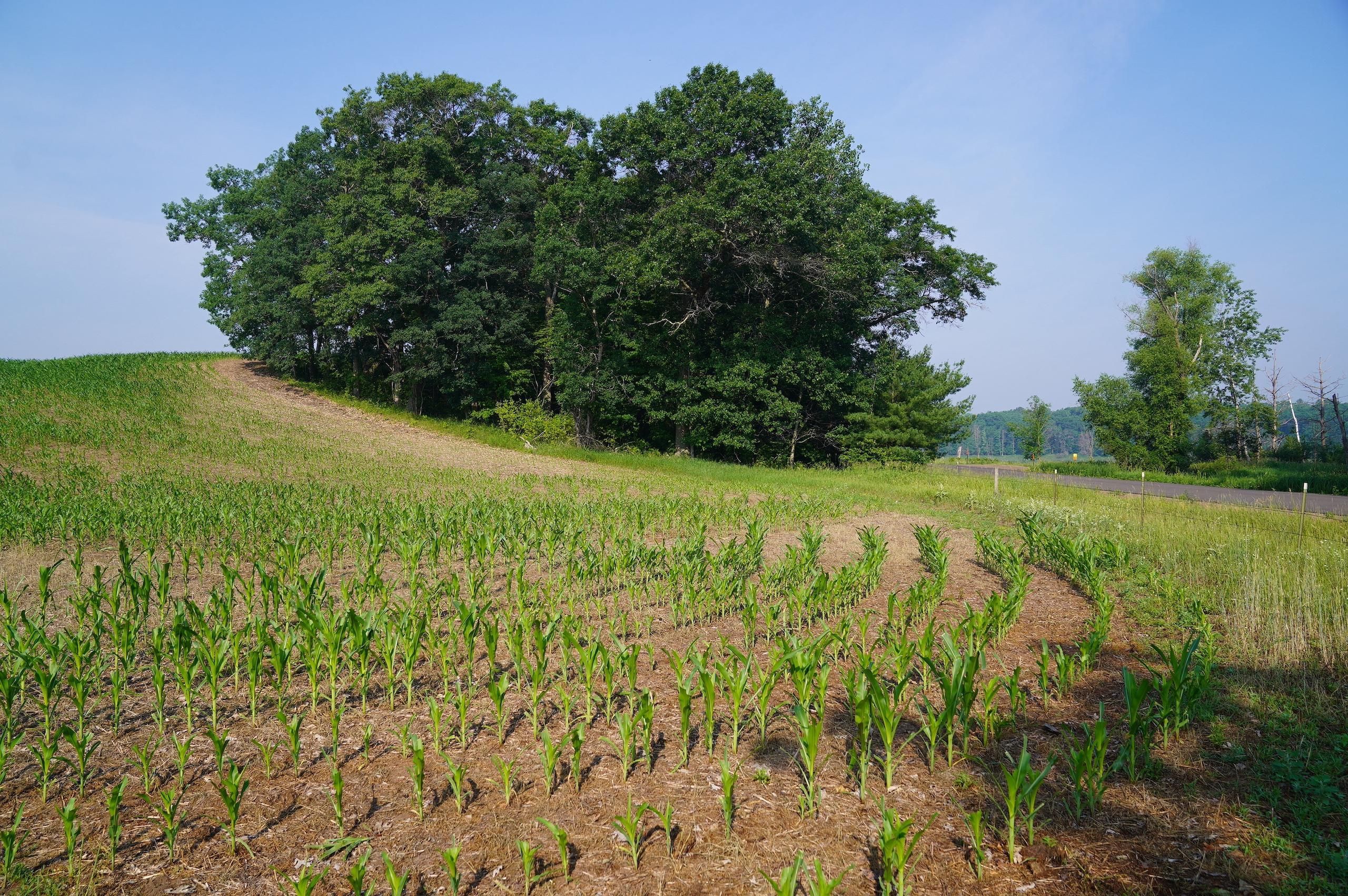 Spooner, County, WI Recreational Property, Hunting Property for