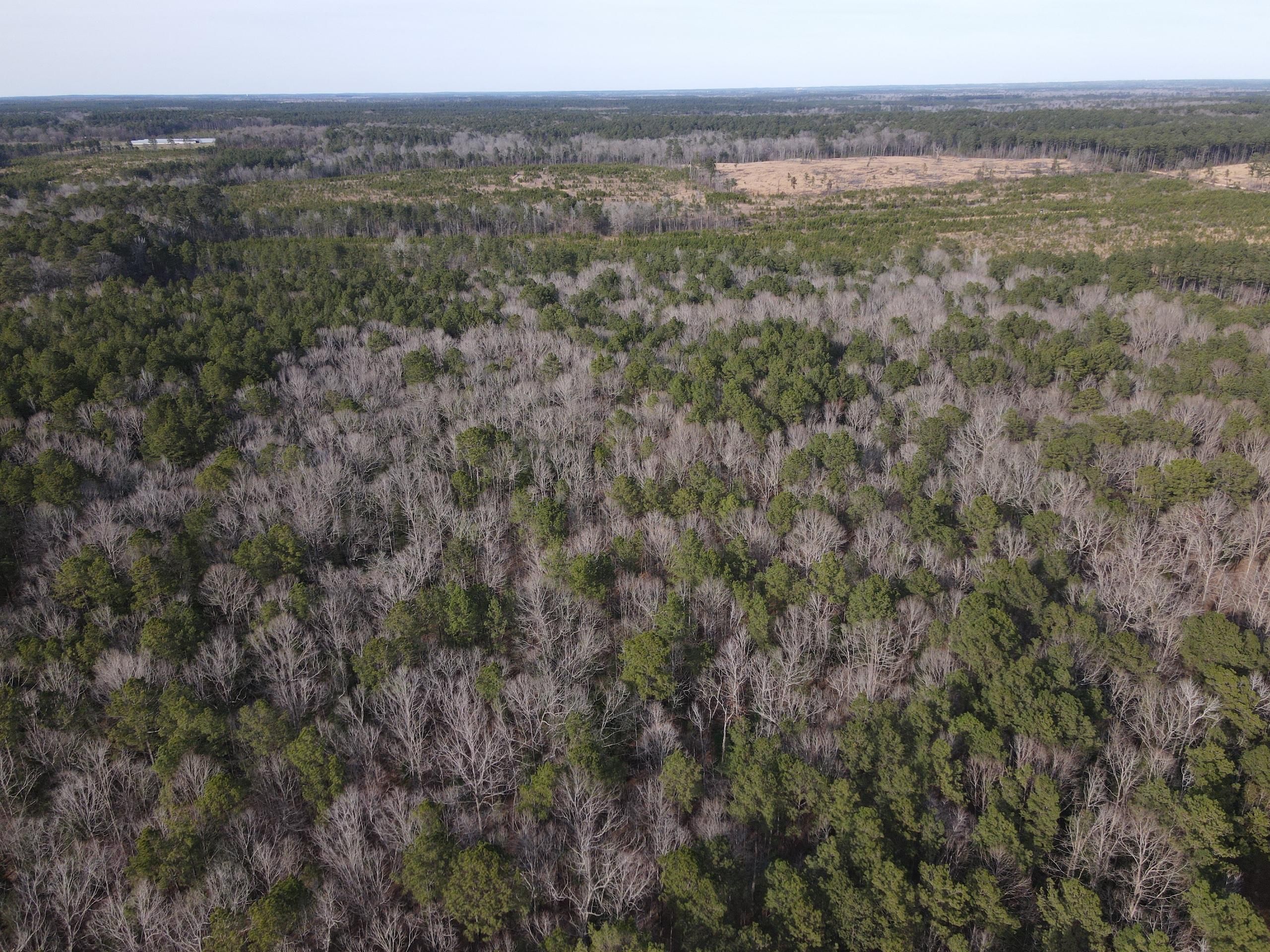 Junction City, Union County, AR Hunting Property for sale Property ID