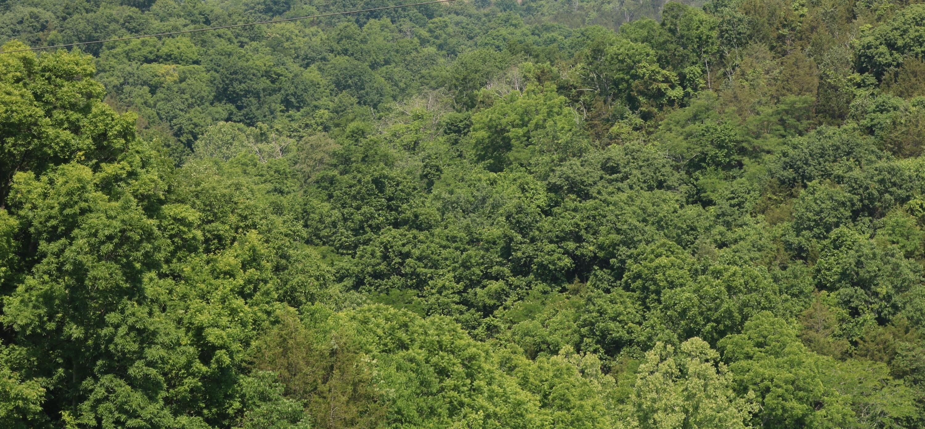 Carlisle, Nicholas County, KY Farms and Ranches for sale Property ID