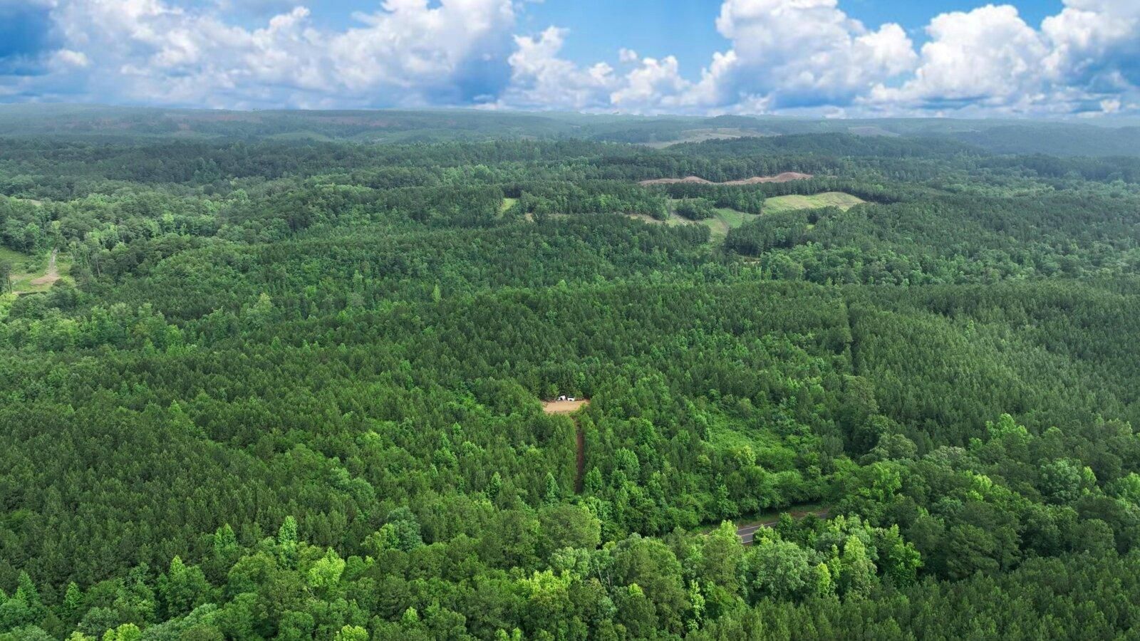 Brookwood, Jefferson County, AL Recreational Property, Undeveloped Land