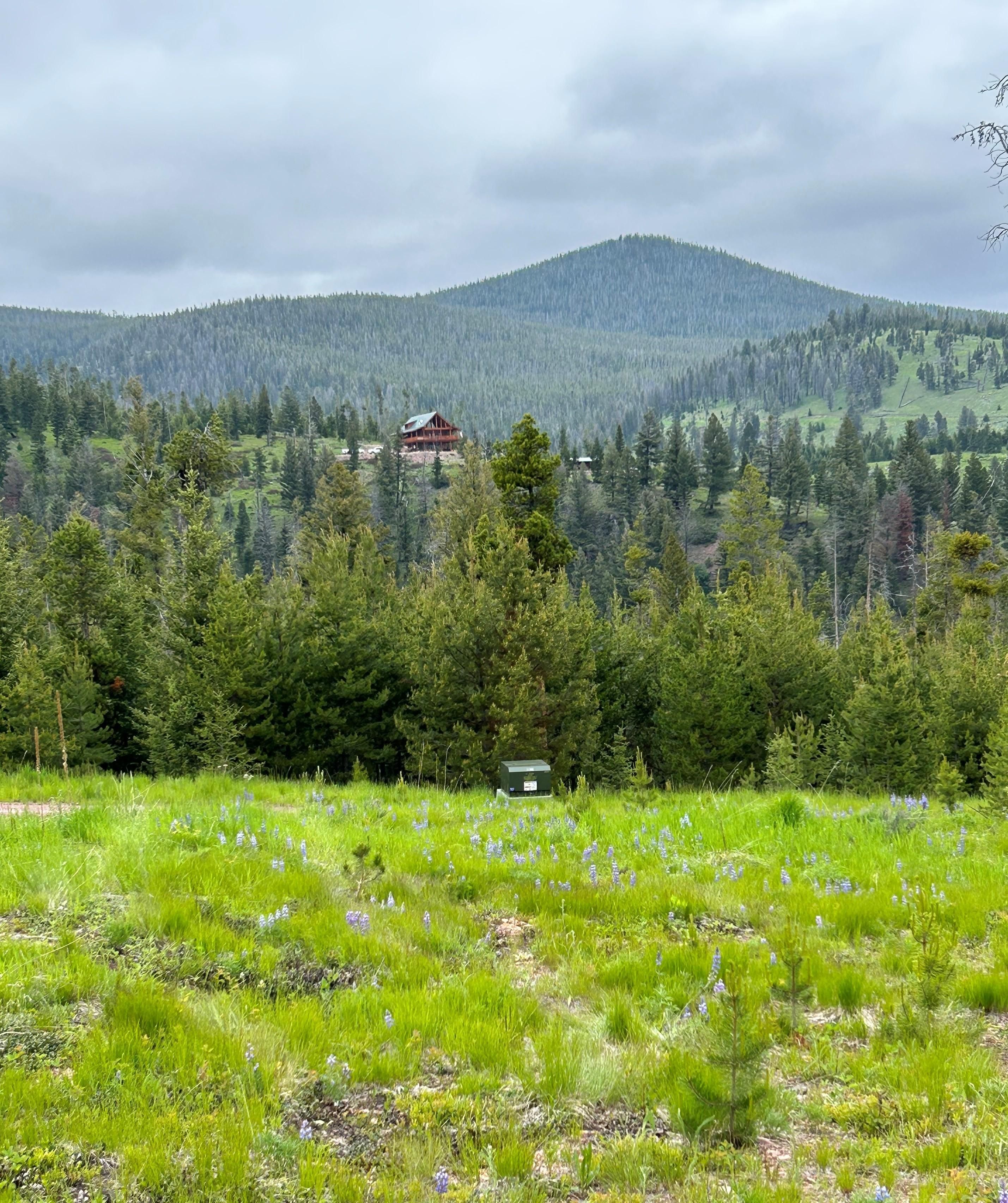 Philipsburg, Granite County, MT Recreational Property, Undeveloped Land