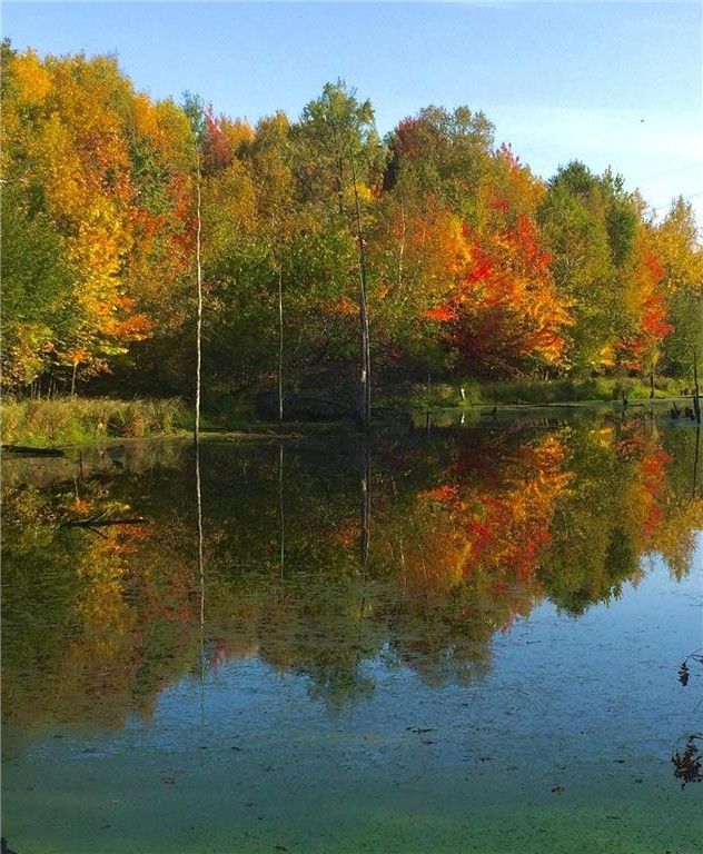 Baldwin, Saint Croix County, WI Undeveloped Land for sale Property ID