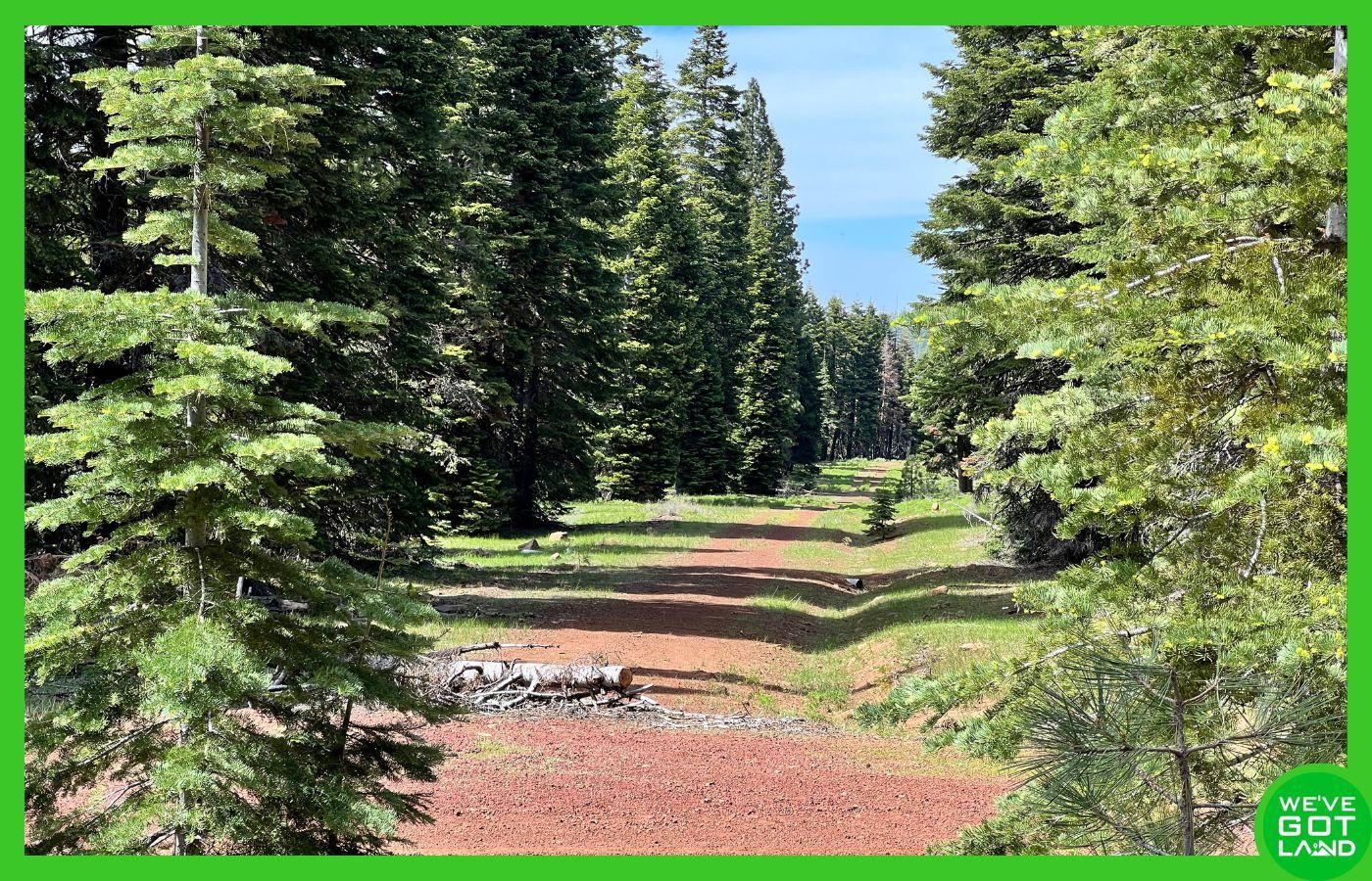 Alturas, Modoc County, CA Recreational Property, Undeveloped Land, Homesites for sale Property