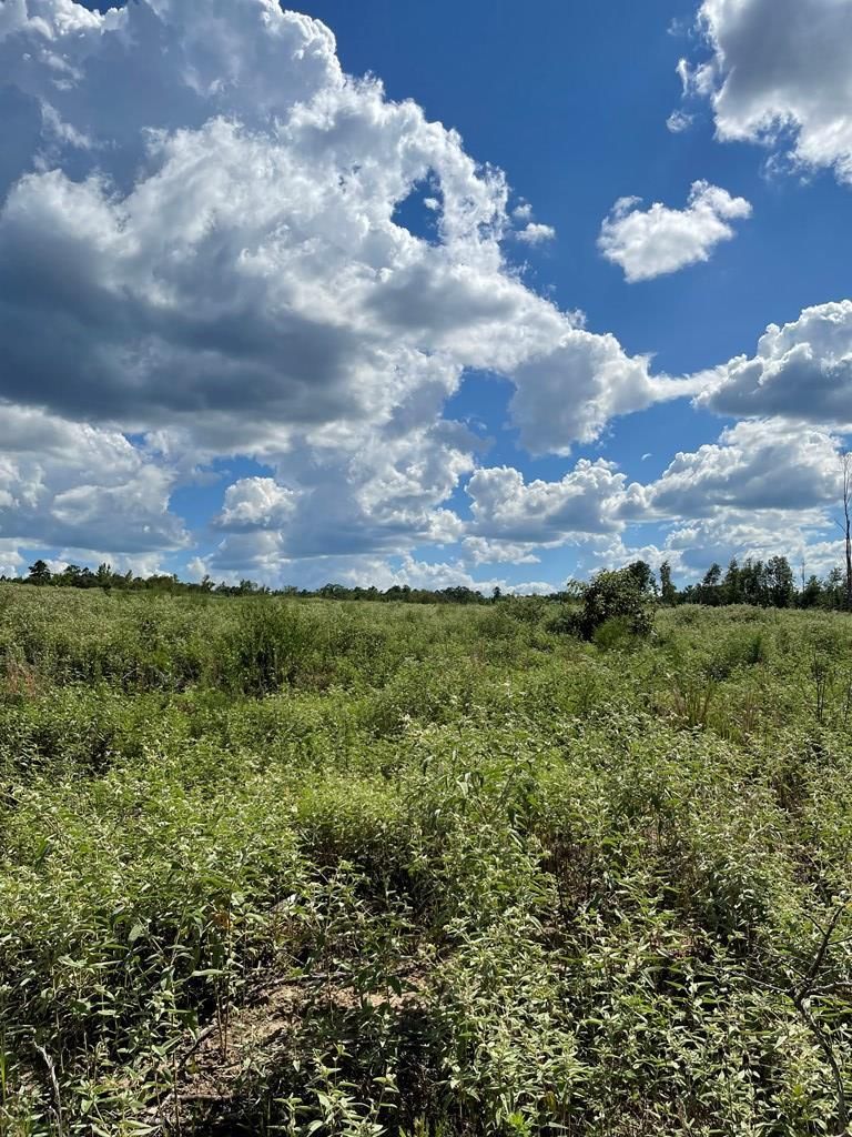 County Road 1170, Kennard, TX 75847 LandWatch