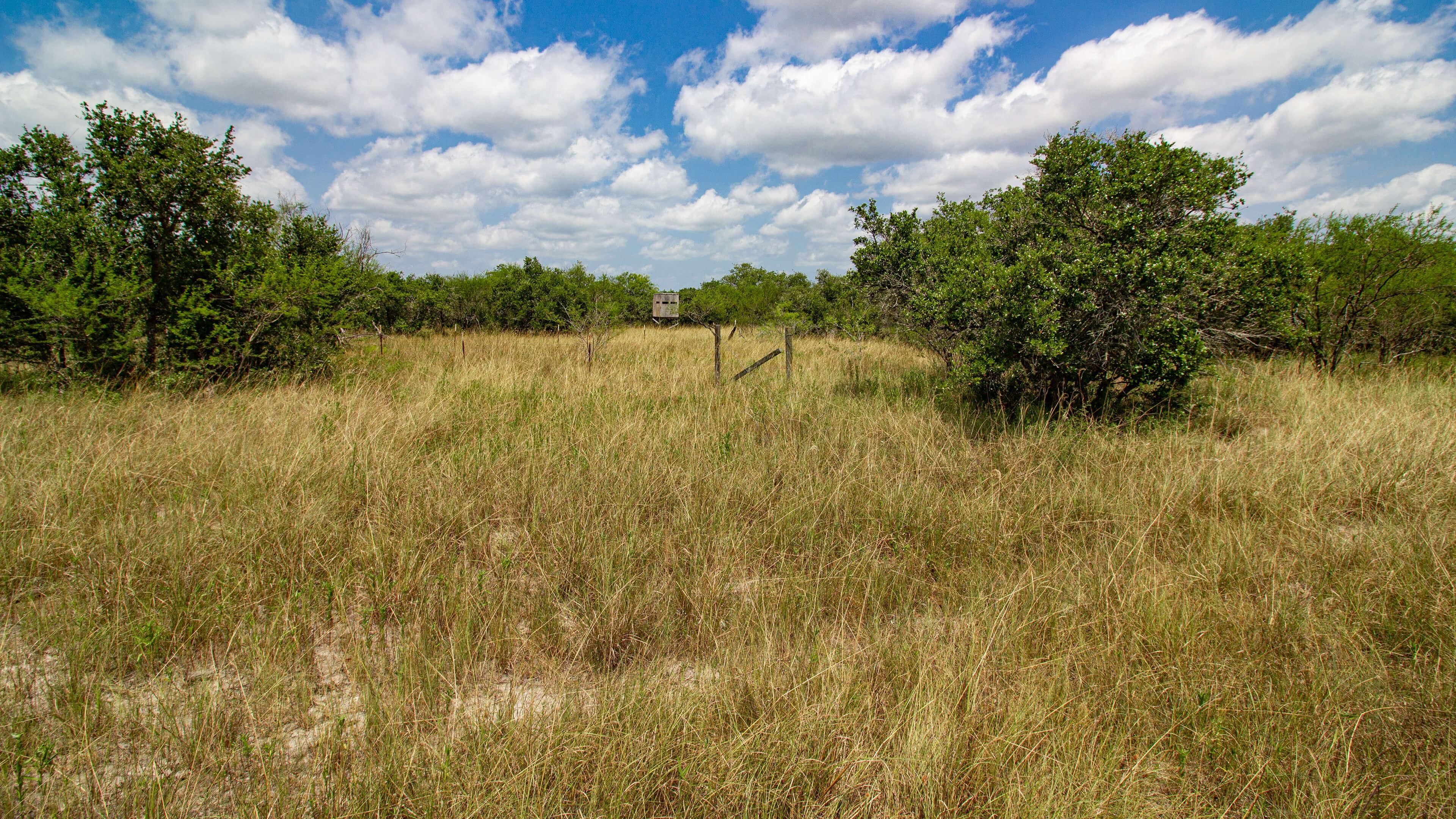 166 McGuill Road, Refugio, TX 78377 MLS 512956 LandWatch