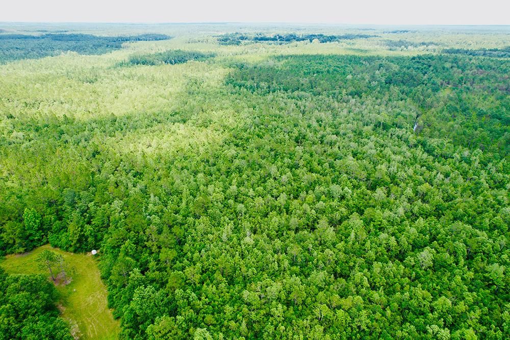 Bay Baldwin County, AL Timberland Property, Hunting Property for sale Property ID