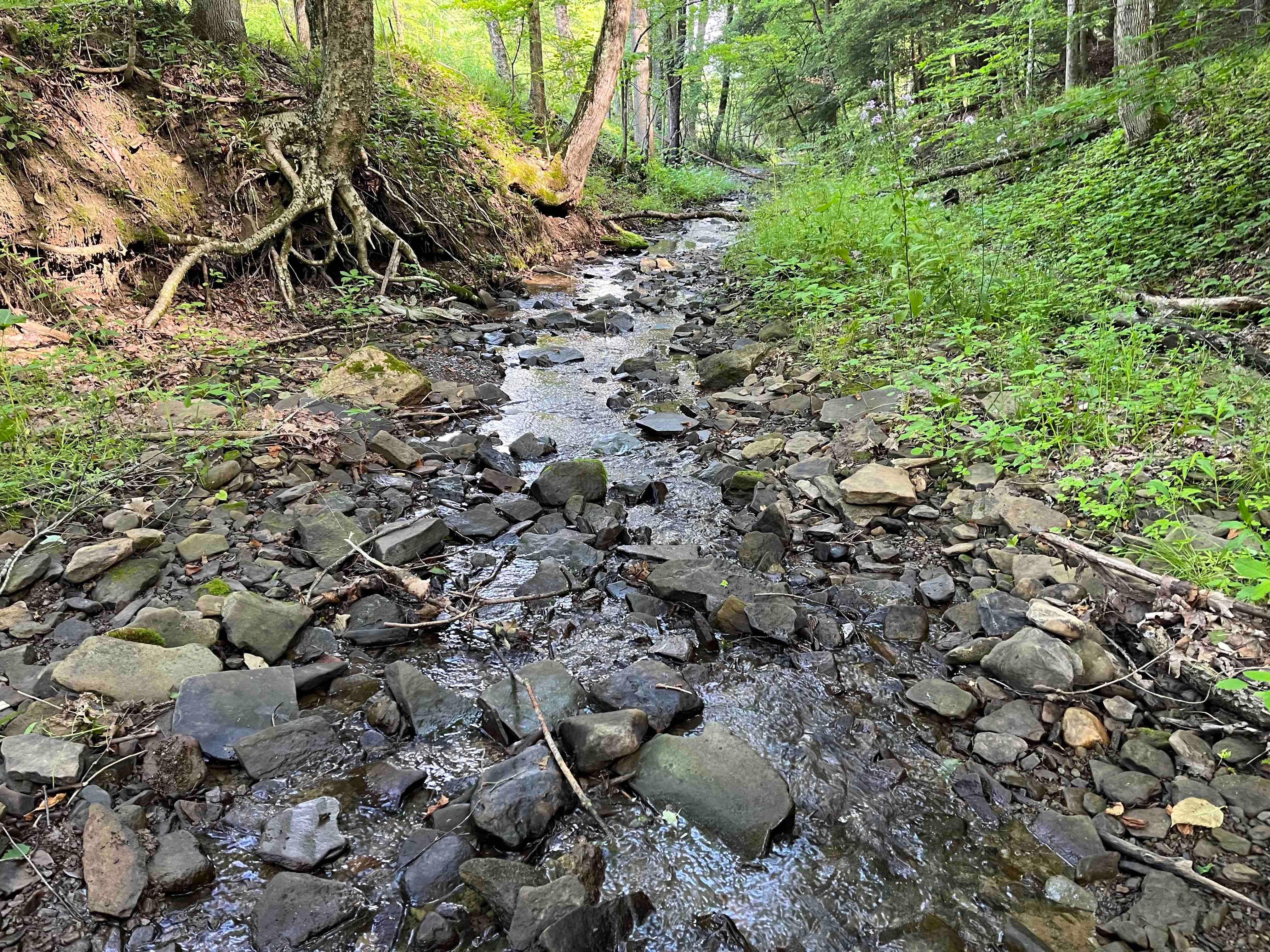 Kansas Hollow Road, Bolivar, NY 14715 LandWatch