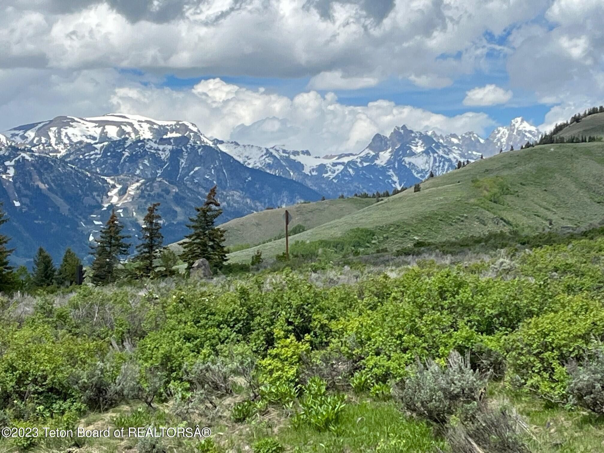 Jackson, Teton County, WY Undeveloped Land for sale Property ID