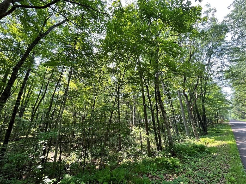 Hayward, Sawyer County, WI Farms and Ranches, Homesites for sale