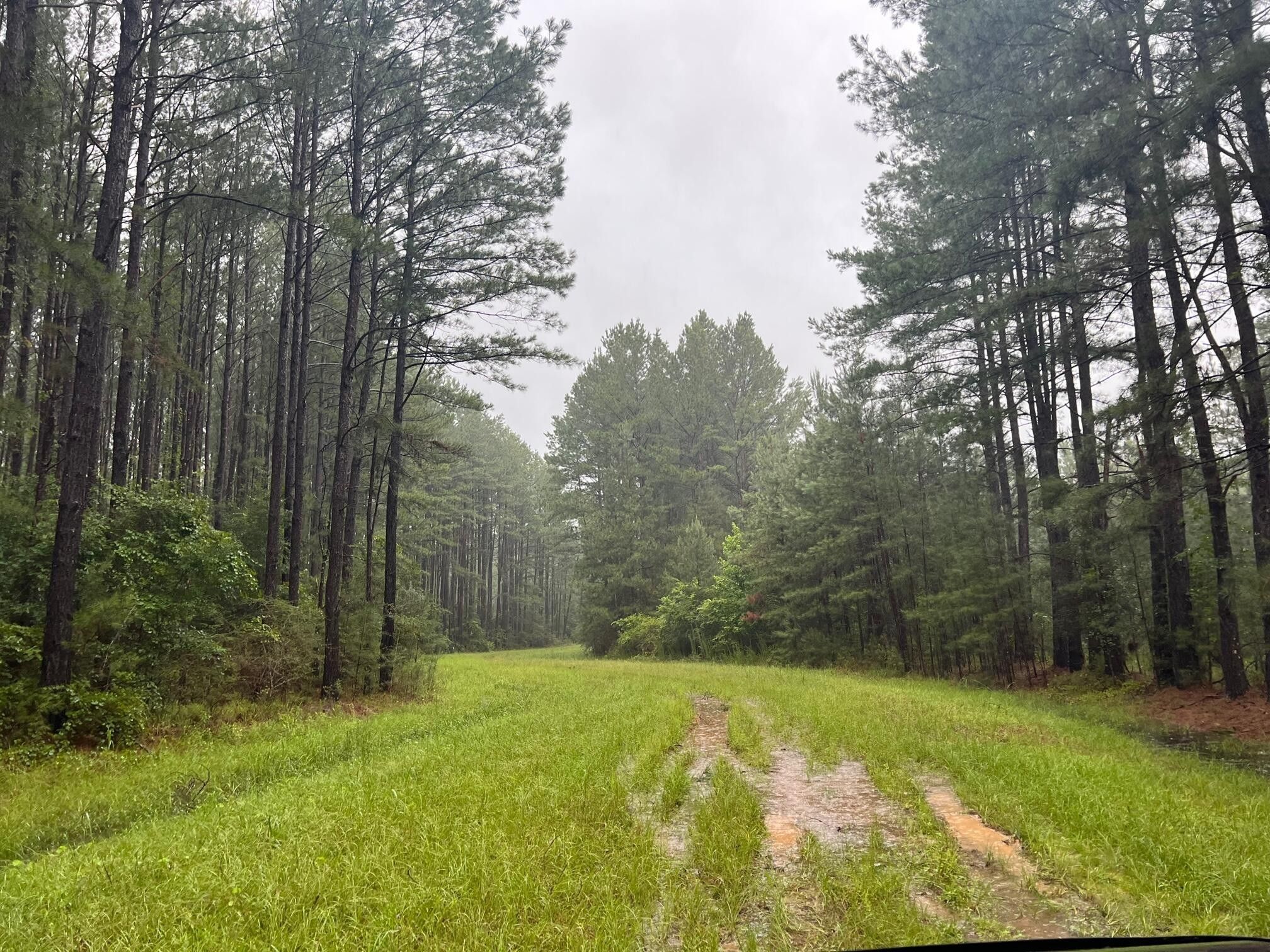 Westville, Holmes County, FL Undeveloped Land for sale Property ID