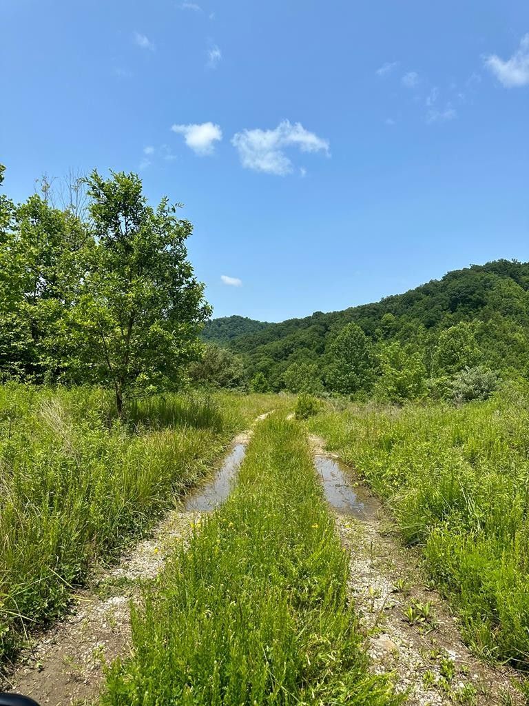 McRoberts, Letcher County, KY Undeveloped Land for sale Property ID