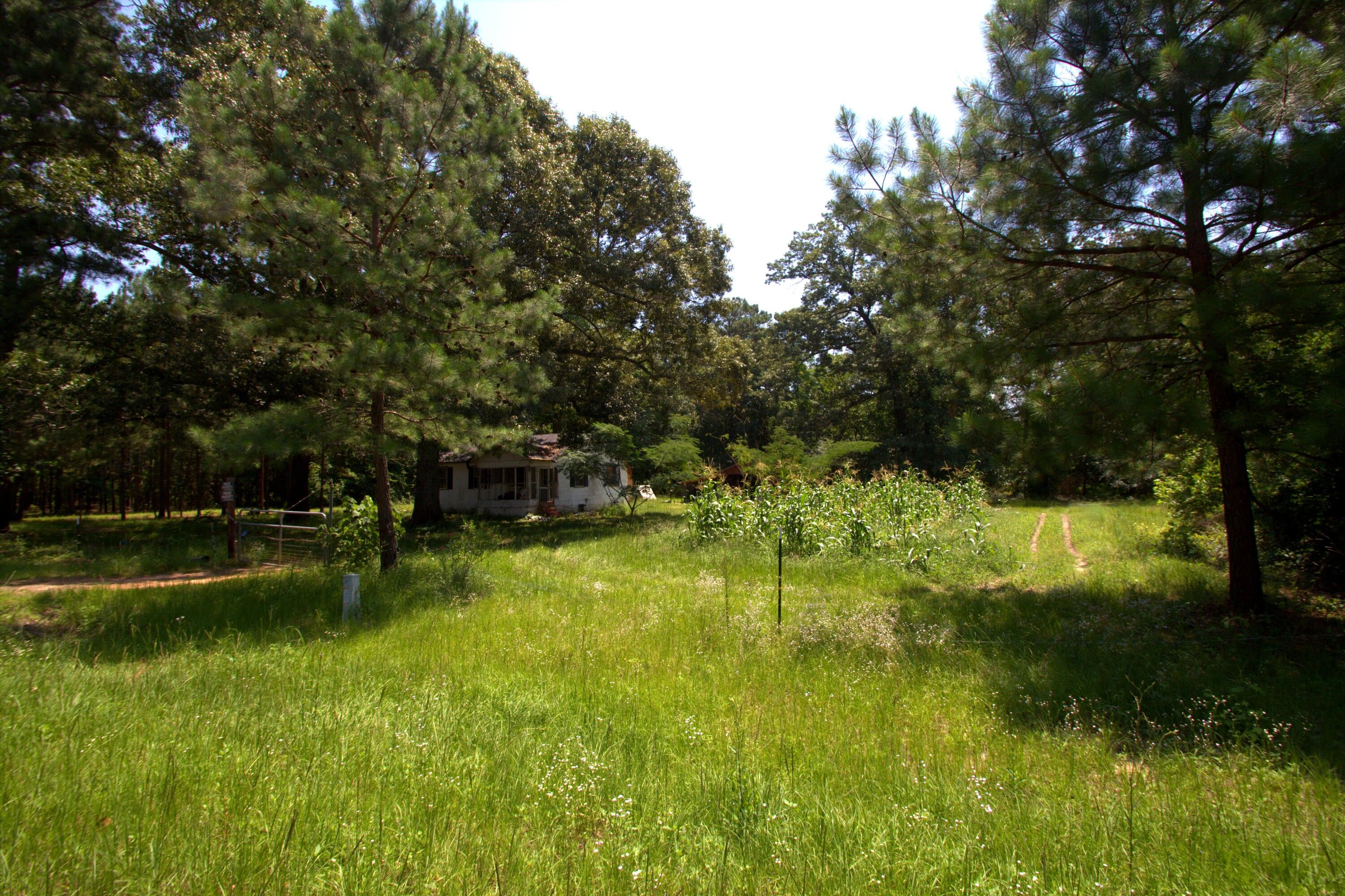 Hephzibah, Burke County, GA Farms and Ranches, Homesites for sale