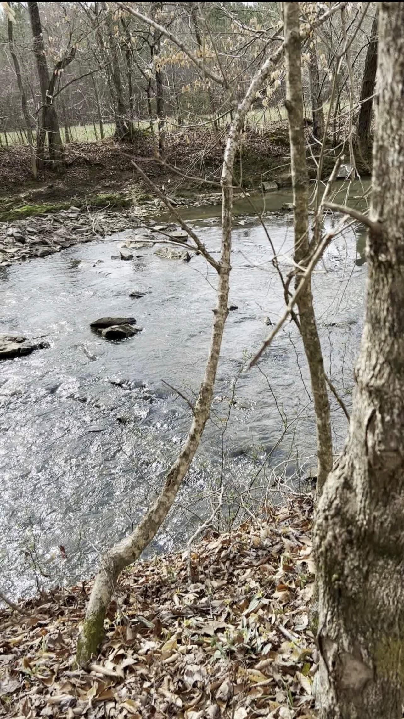 Mount Pleasant, Cabarrus County, NC Undeveloped Land, Horse Property