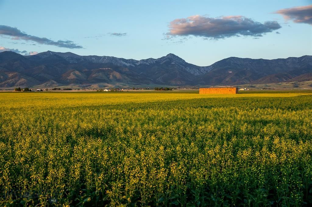 Belgrade, Gallatin County, MT Farms and Ranches for sale Property ID