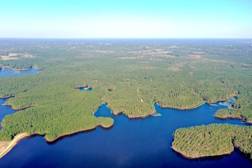 Ellisville, Jones County, MS Recreational Property, Timberland Property