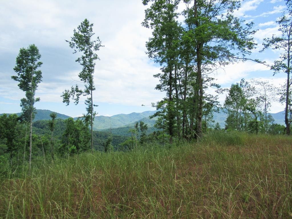 Franklin, Macon County, NC for sale Property ID 416777232 LandWatch