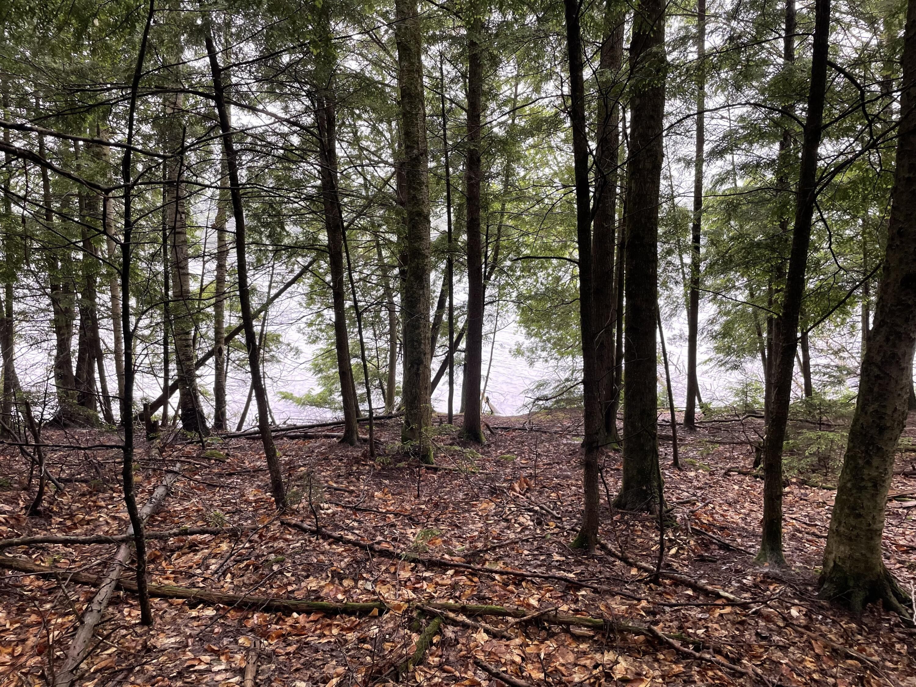 Garland, Penobscot County, ME Undeveloped Land, Lakefront Property